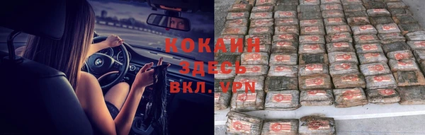 тгк Мегион