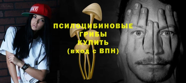 тгк Мегион