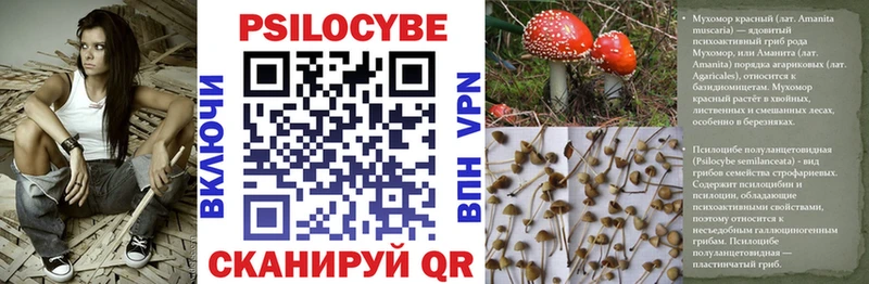 Псилоцибиновые грибы ЛСД Шали