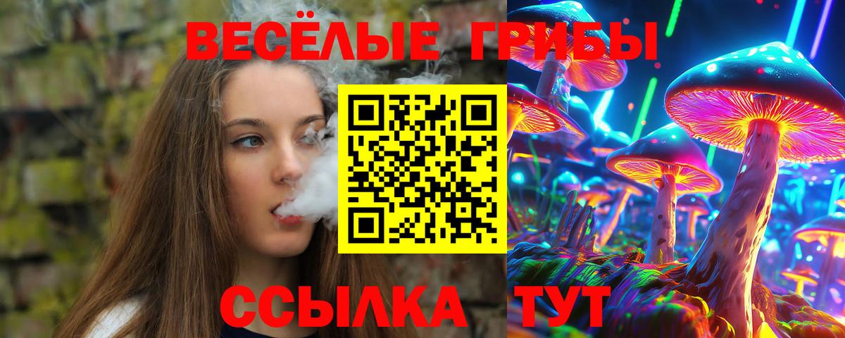 Псилоцибиновые грибы мухоморы  Вход с VPN  Шали  Галлюциногенные грибы Psilocybe 