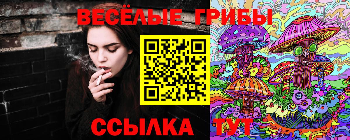 Псилоцибиновые грибы ЛСД Шали