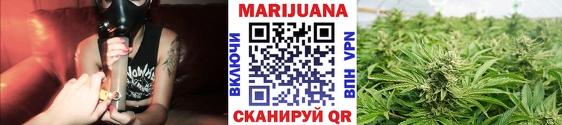 где найти   Шали  Канабис THC 21% 