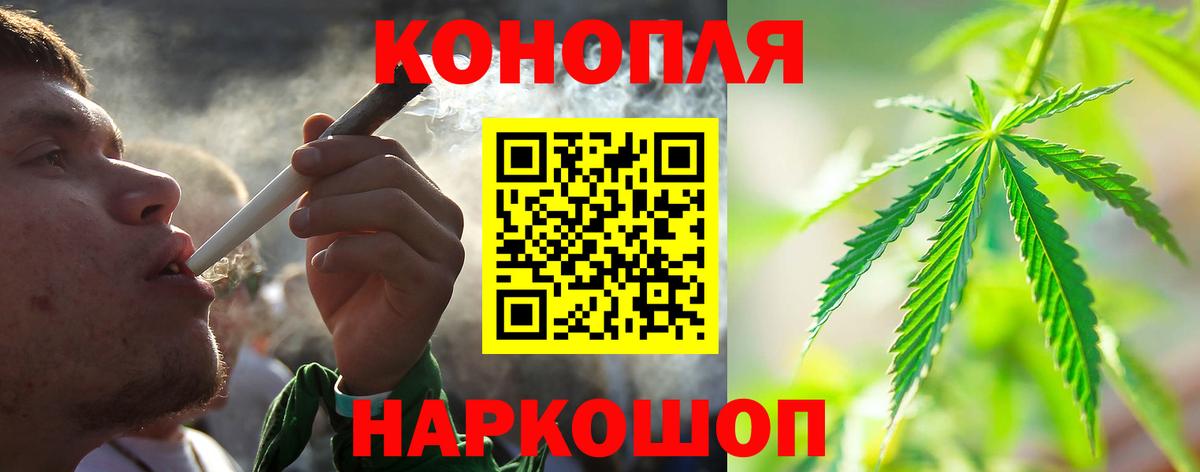Бошки марихуана MAZAR  Канабис индика  Шали  Бошки марихуана Ganja  Конопля планчик 